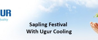 Sapling Festival with Ugur Cooling